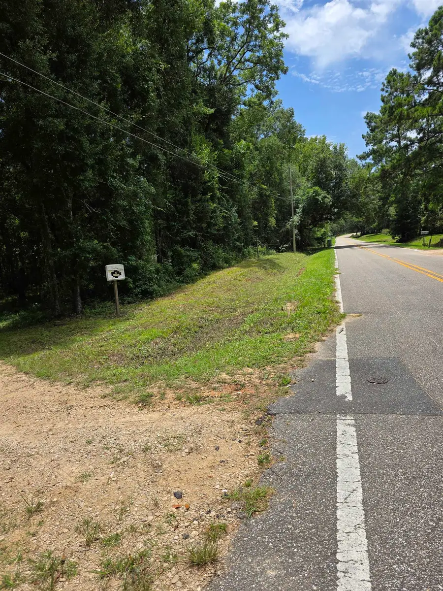 580 Spring Meadows Road, Quincy, FL 32351 - #3