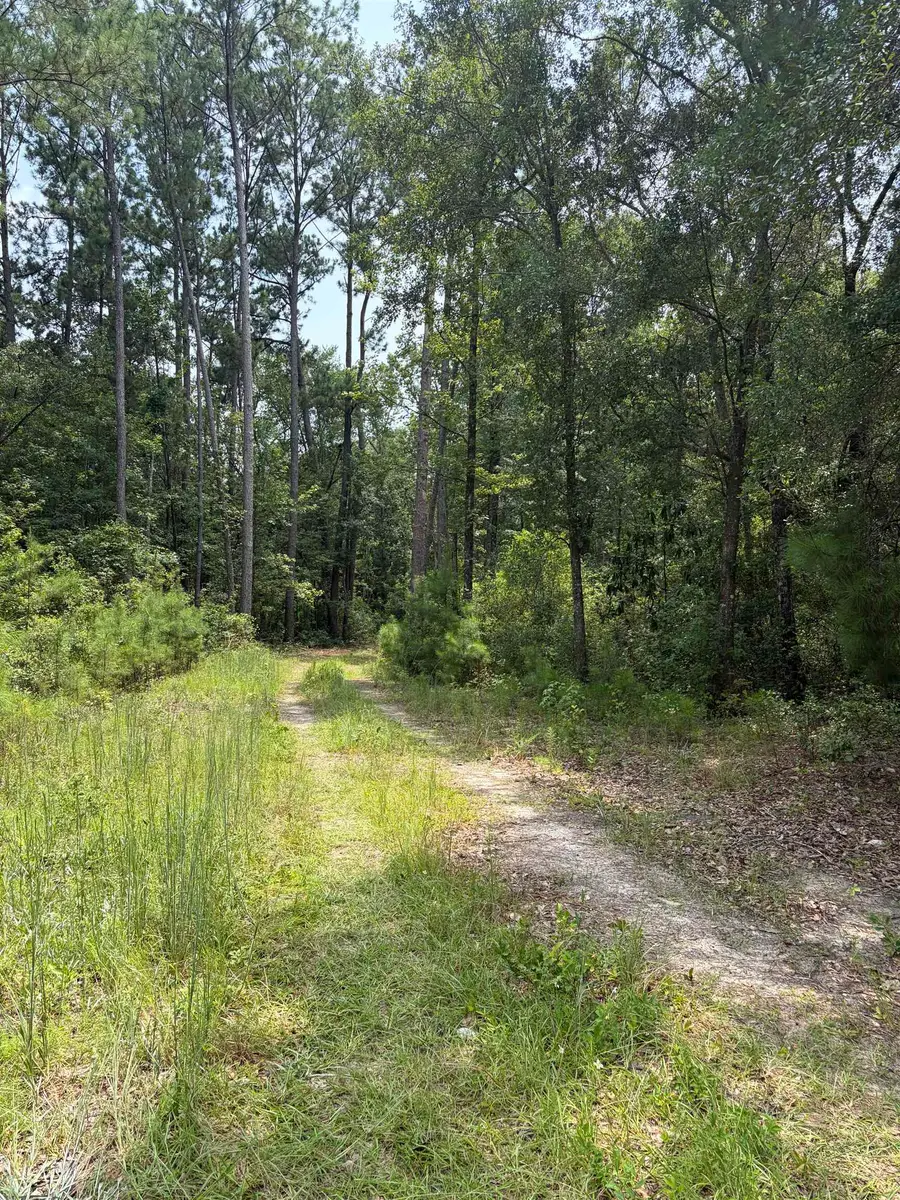 XX Red Branch Lane, Quincy, FL 32351 - #2