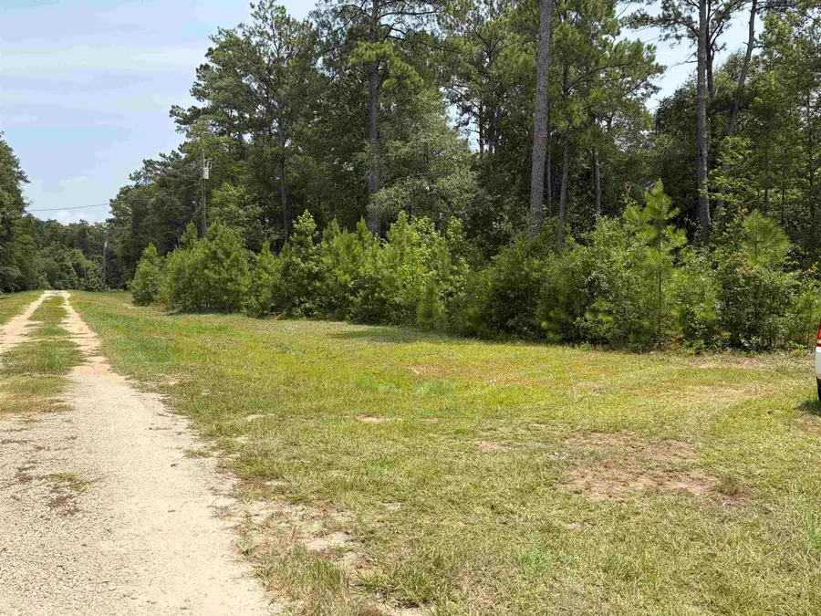 XX Red Branch Lane, Quincy, FL 32351 - #3