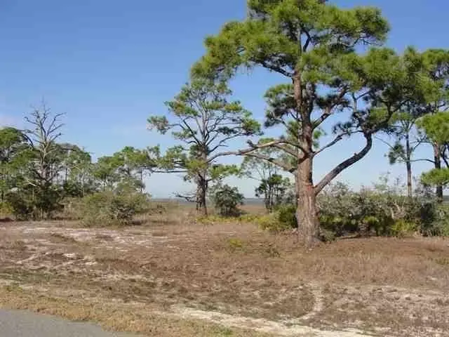200 Hidden Harbor Drive #I, Alligator Point, FL 32346 - #1