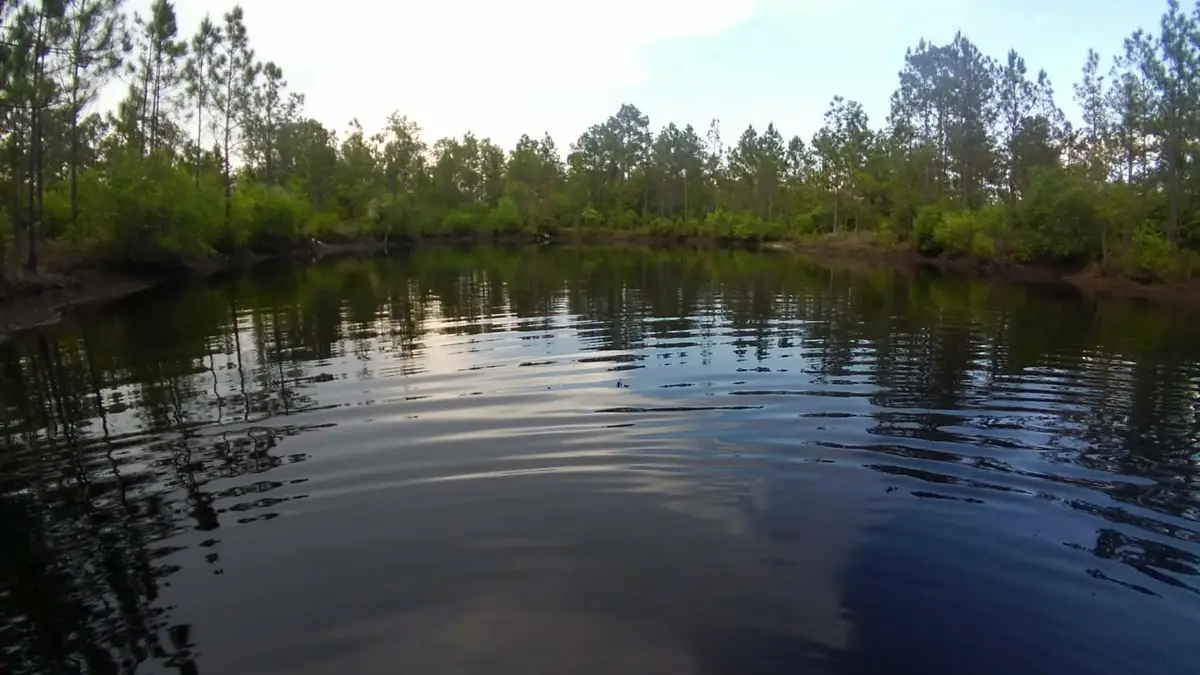 152 Sam Marks Road, Crawfordville, FL 32327 - #1