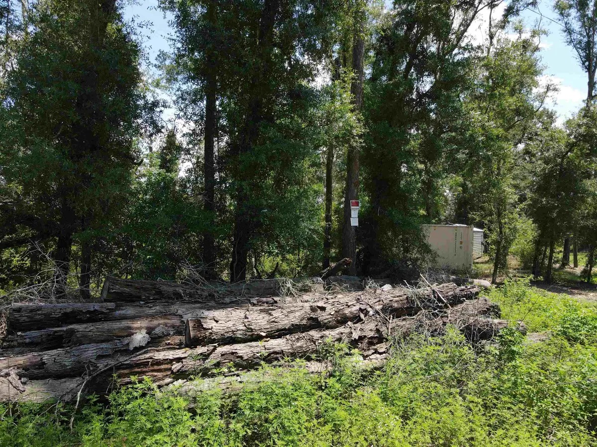 0 NE Blue Springs Church Road, Lee, FL 32059 - #1