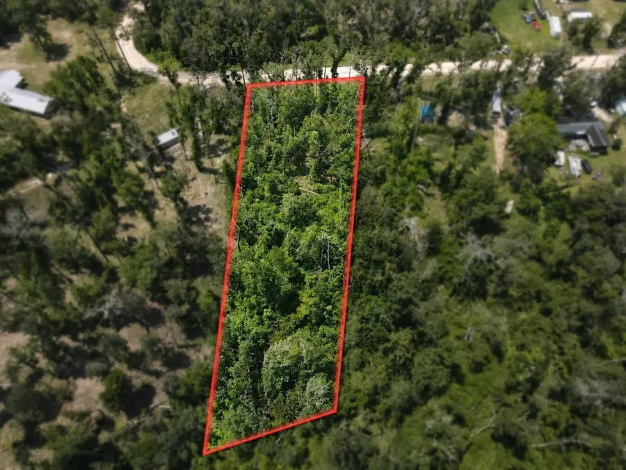 0 NE Blue Springs Church Road, Lee, FL 32059 - #2