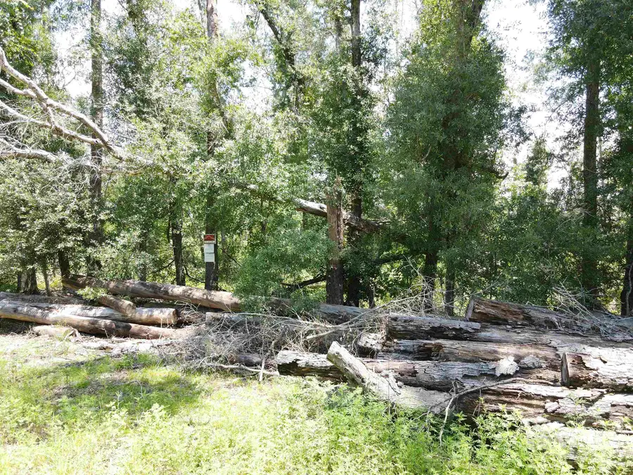 0 NE Blue Springs Church Road, Lee, FL 32059 - #3