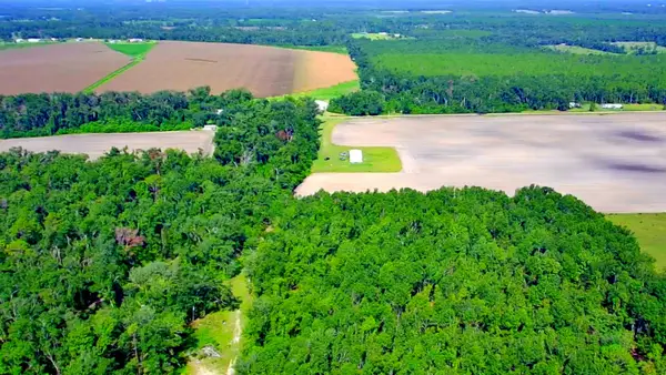 1 acre NE Hickory Grove Road, Pinetta, FL 32350