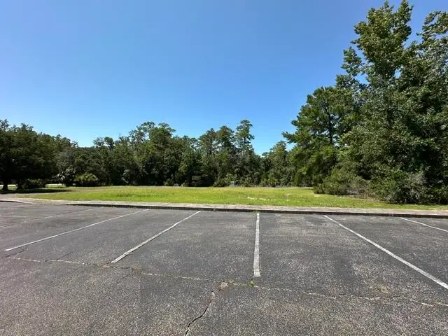 Lot V Old Palmetto Path, Saint Marks, FL 32355 - #2