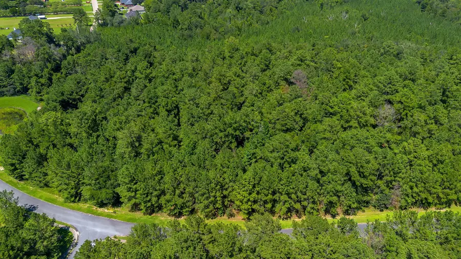 95 Peachtree Drive, Quincy, FL 32351 - #3