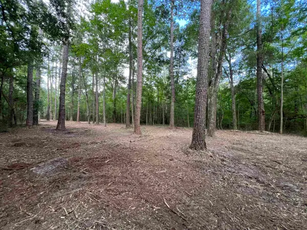 xx Chaff Chason Lane, Quincy, FL 32352