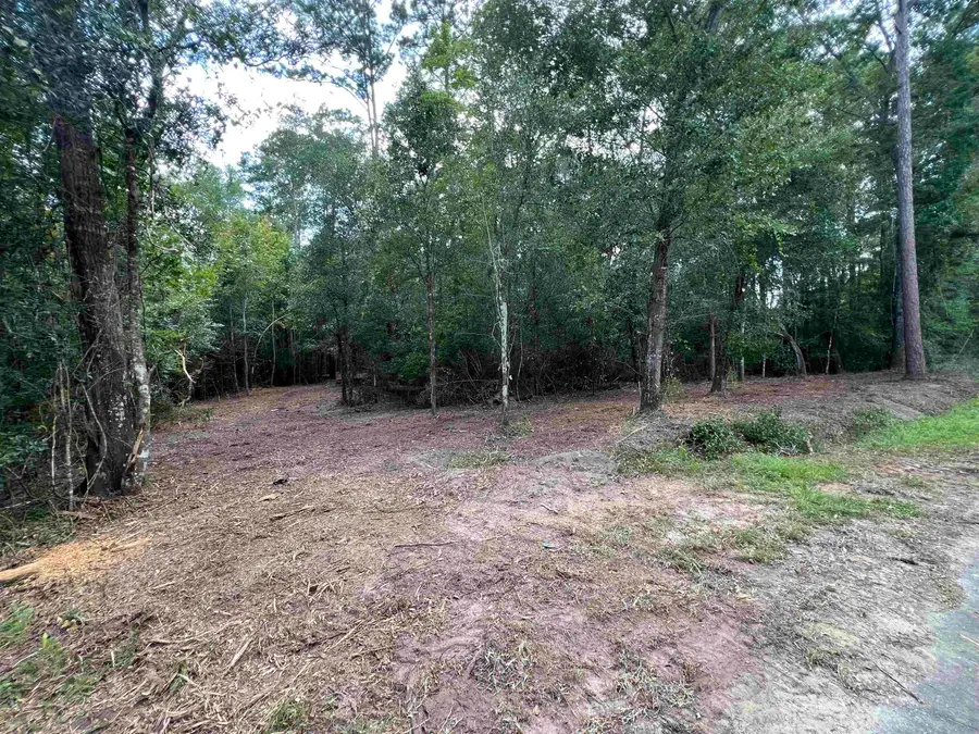 xx Chaff Chason Lane, Quincy, FL 32352 - #2