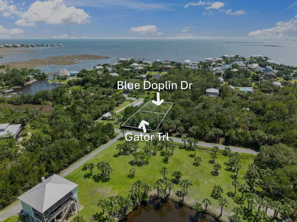 Blue Dolphin Dr Lot 2 #2, Crawfordville, FL 32327 - #1