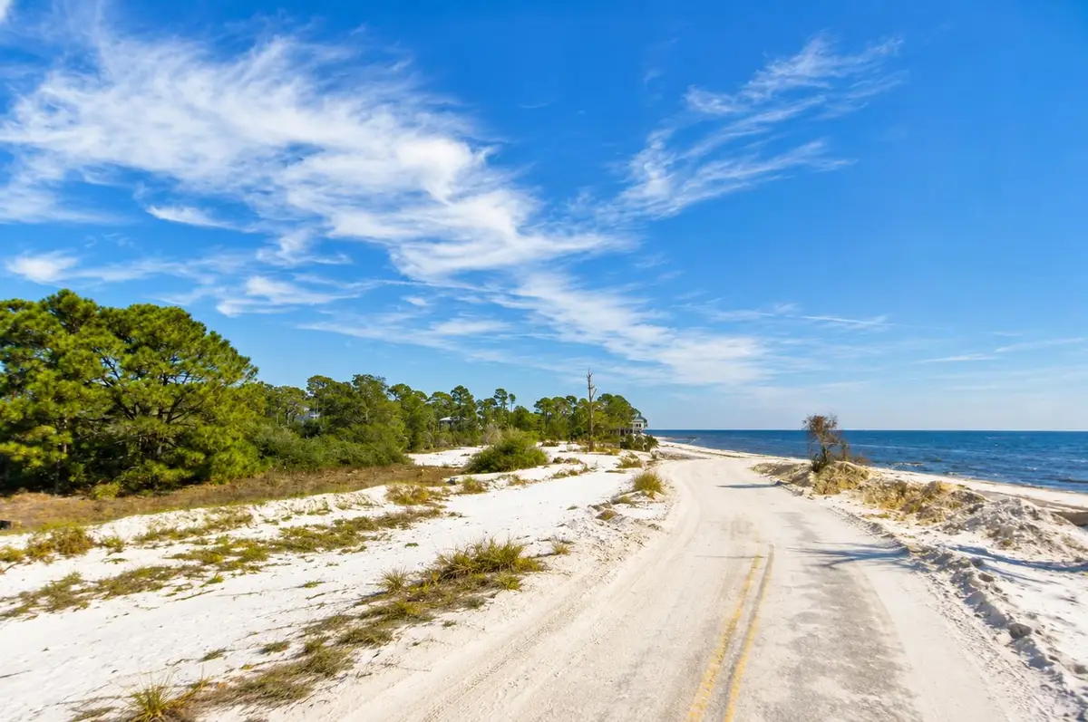 1008 & 1010 Alan Lane, Alligator Point, FL 32346 - #1