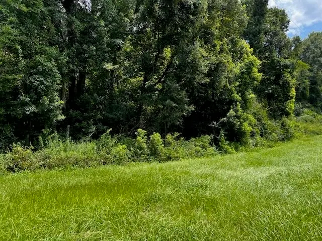 0000 Solomon Dairy Road, Quincy, FL 32351 - #1