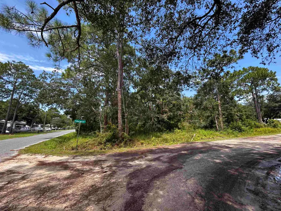 xx Dickson Bay Road, Panacea, FL 32346 - #2