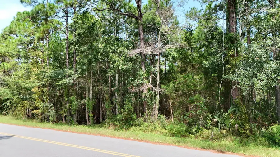 xx Joe Mack Smith Street, Panacea, FL 32346 - #2