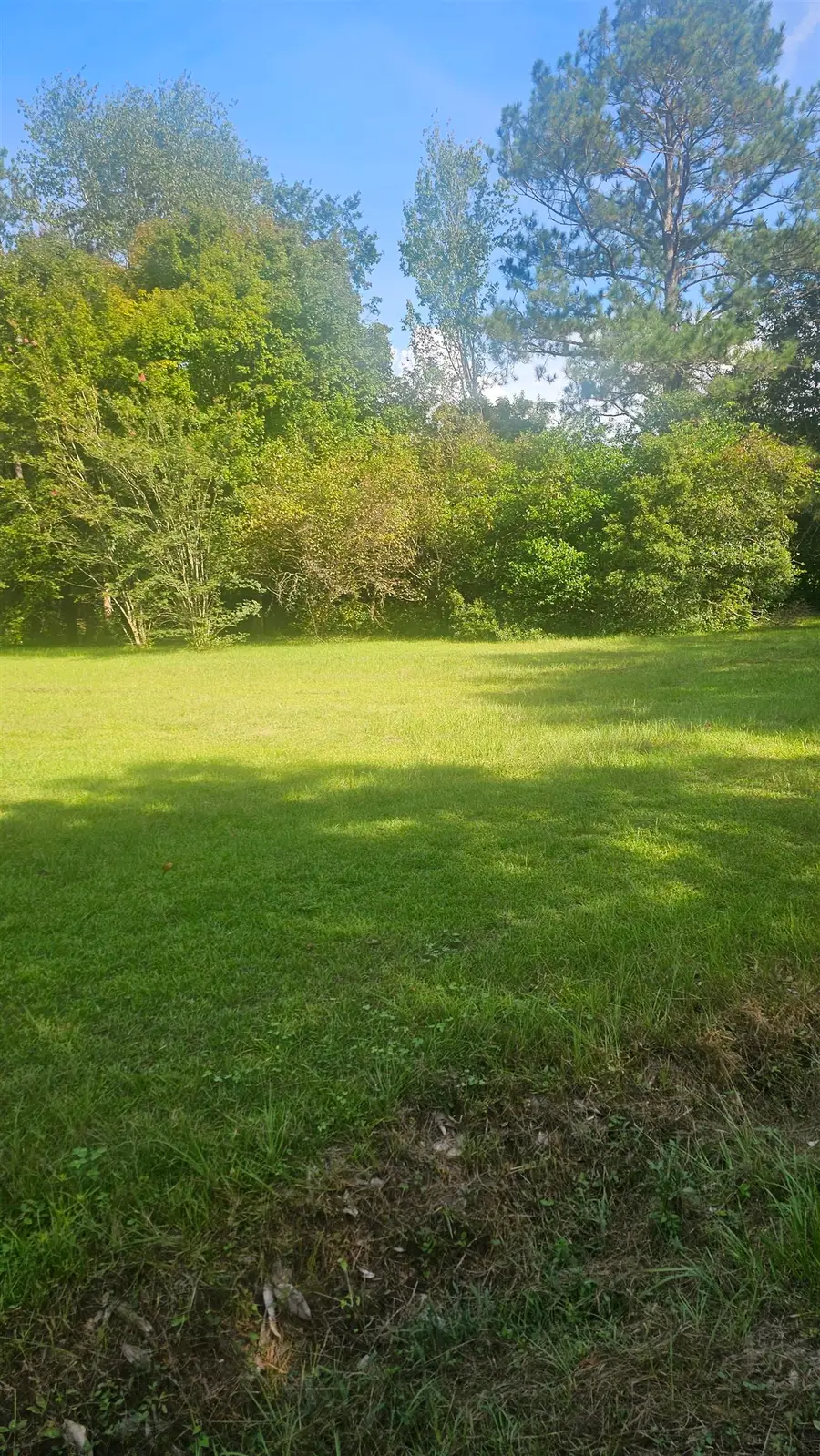 1104 Leslie Lewis Road, Havana, FL 32333 - #3