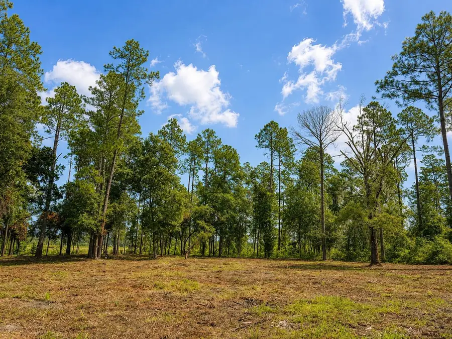 000 Walker Springs Rd., Monticello, FL 32344 - #2