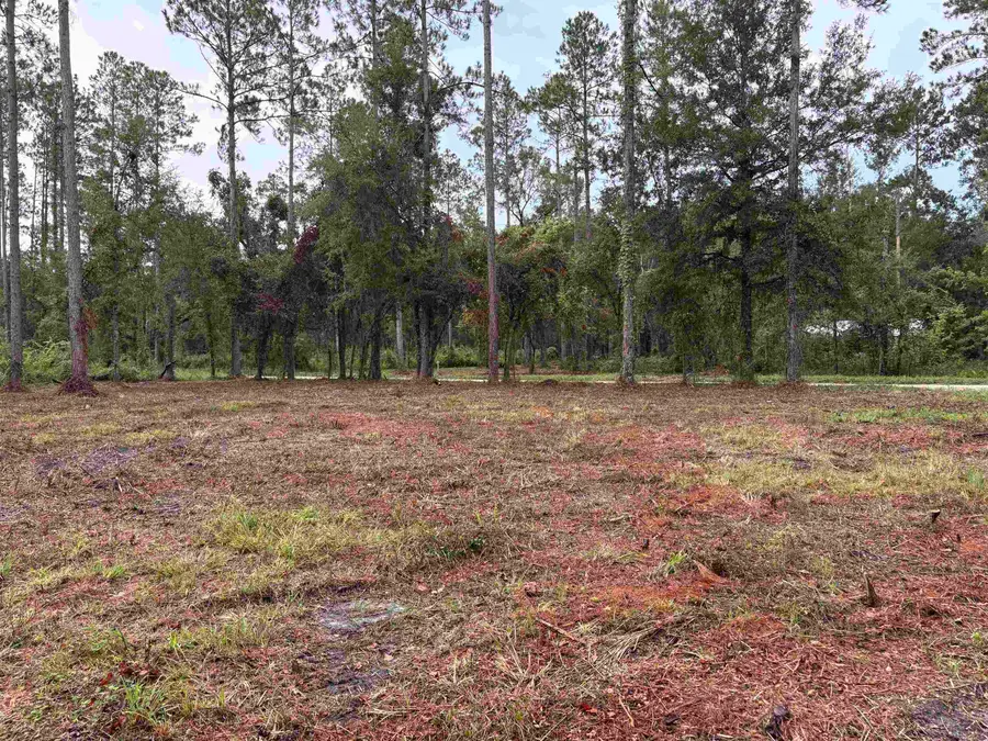 000 Walker Springs Rd., Monticello, FL 32344 - #3