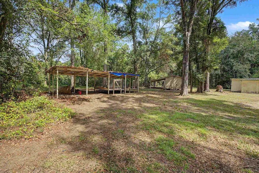 1264 Quail Lane, Monticello, FL 32344 - #3