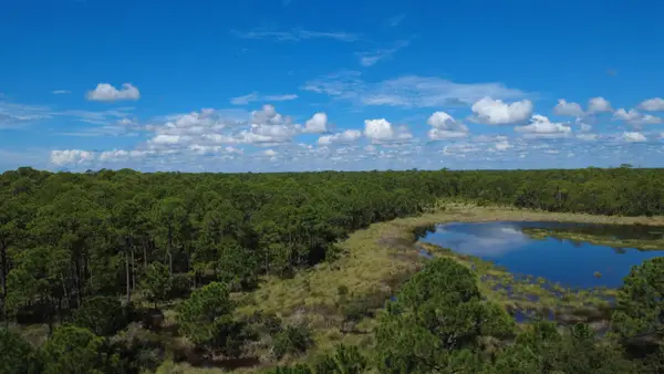 667 Bald Point Road, Alligator Point, FL 32346