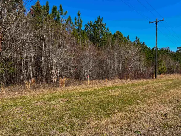 XOX Lot 3 Solomon Dairy Road, Quincy, FL 32351
