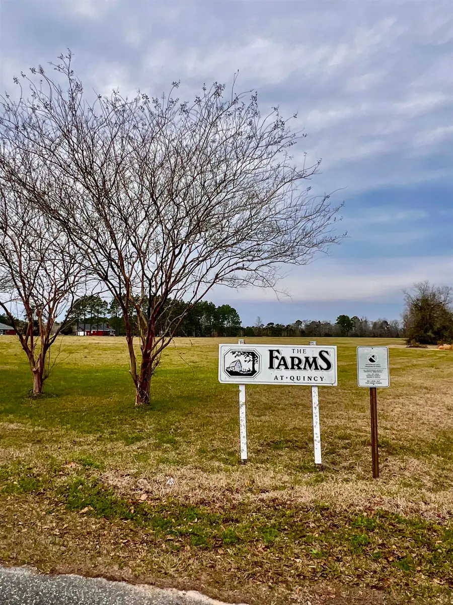 XOX Lot 3 Solomon Dairy Road, Quincy, FL 32351 - #3