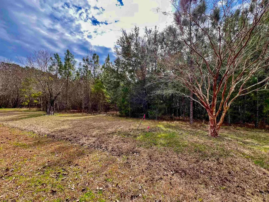 XOX Lot 4 Solomon Dairy Road, Quincy, FL 32351 - #2