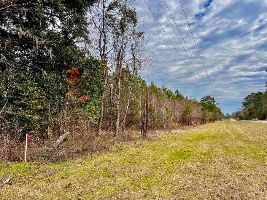 XOX Lot 4 Solomon Dairy Road, Quincy, FL 32351 - #3