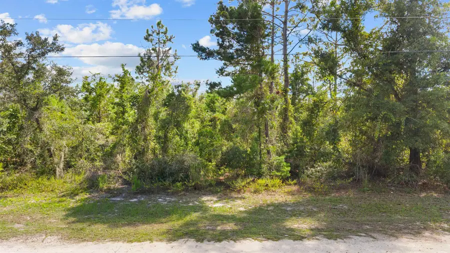 VACANT Glenda Ln, Perry, FL 32348 - #3