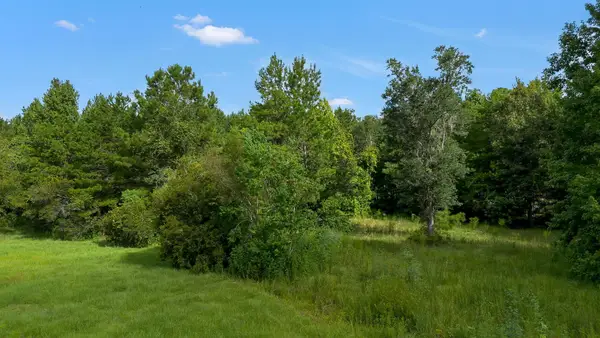 402 Mistletoe Lane, Monticello, FL 32344