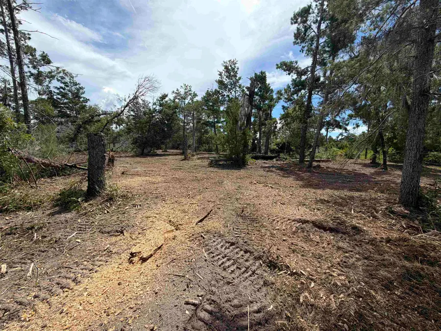 15724 Reed Drive, Perry, FL 32348 - #3