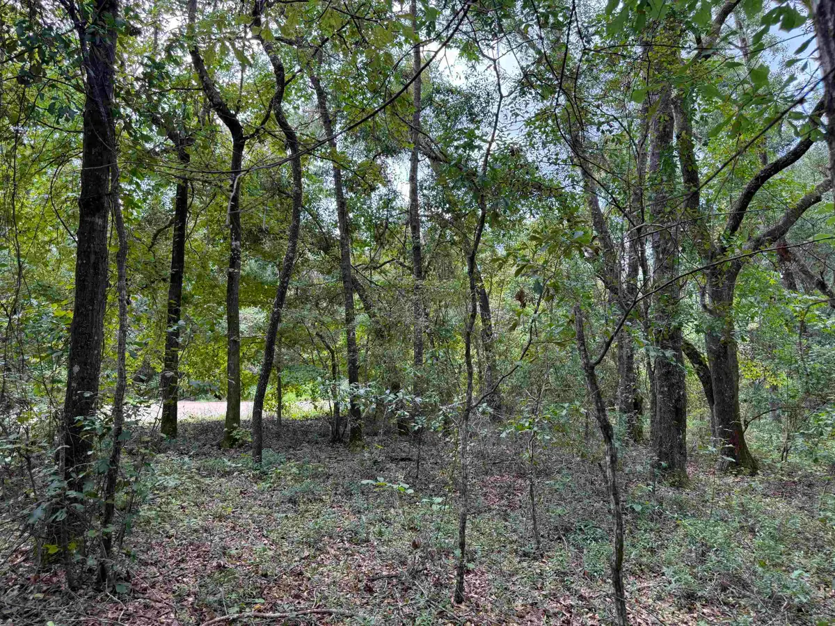 Vacant E Duckpond Drive, Greenville, FL 32331 - #1