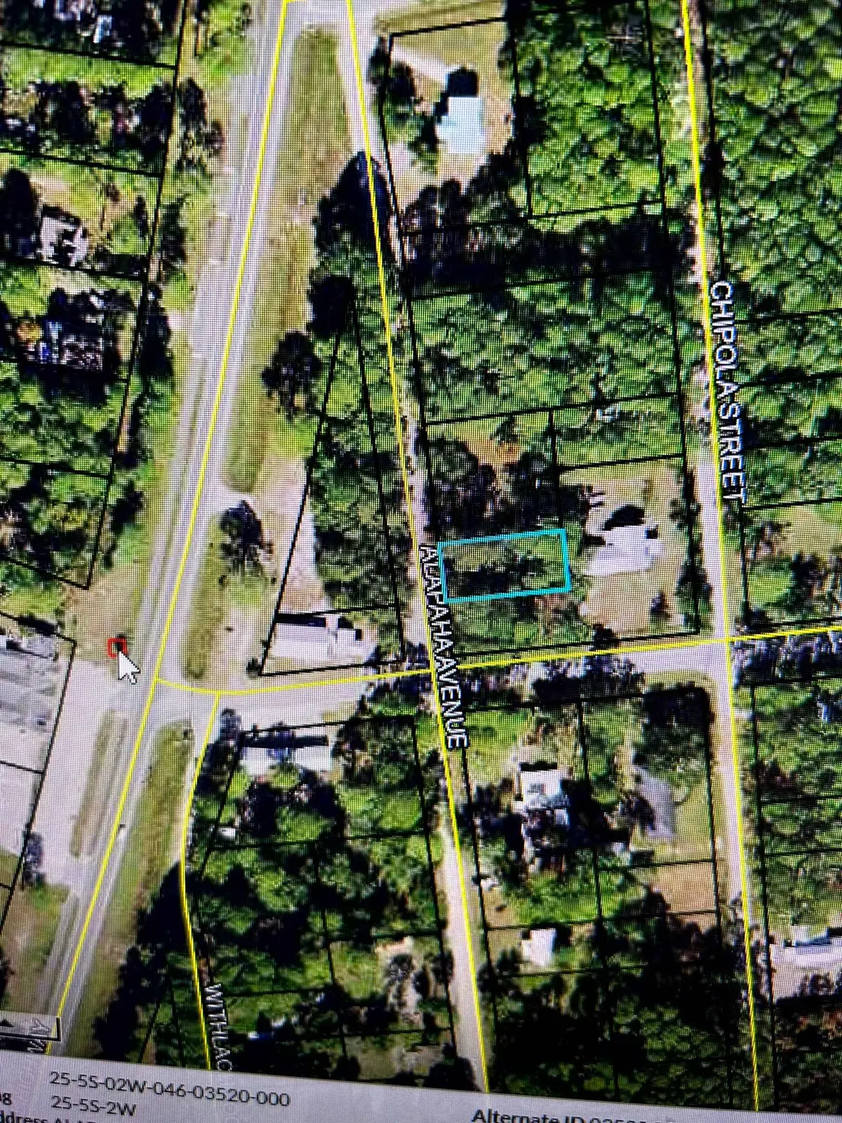 xx Alapaha Avenue, Panacea, FL 32346 - #1