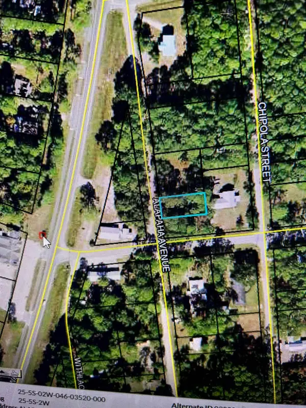 xx Alapaha Avenue, Panacea, FL 32346