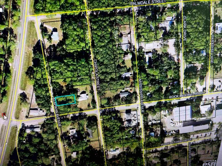 xx Alapaha Avenue, Panacea, FL 32346 - #2