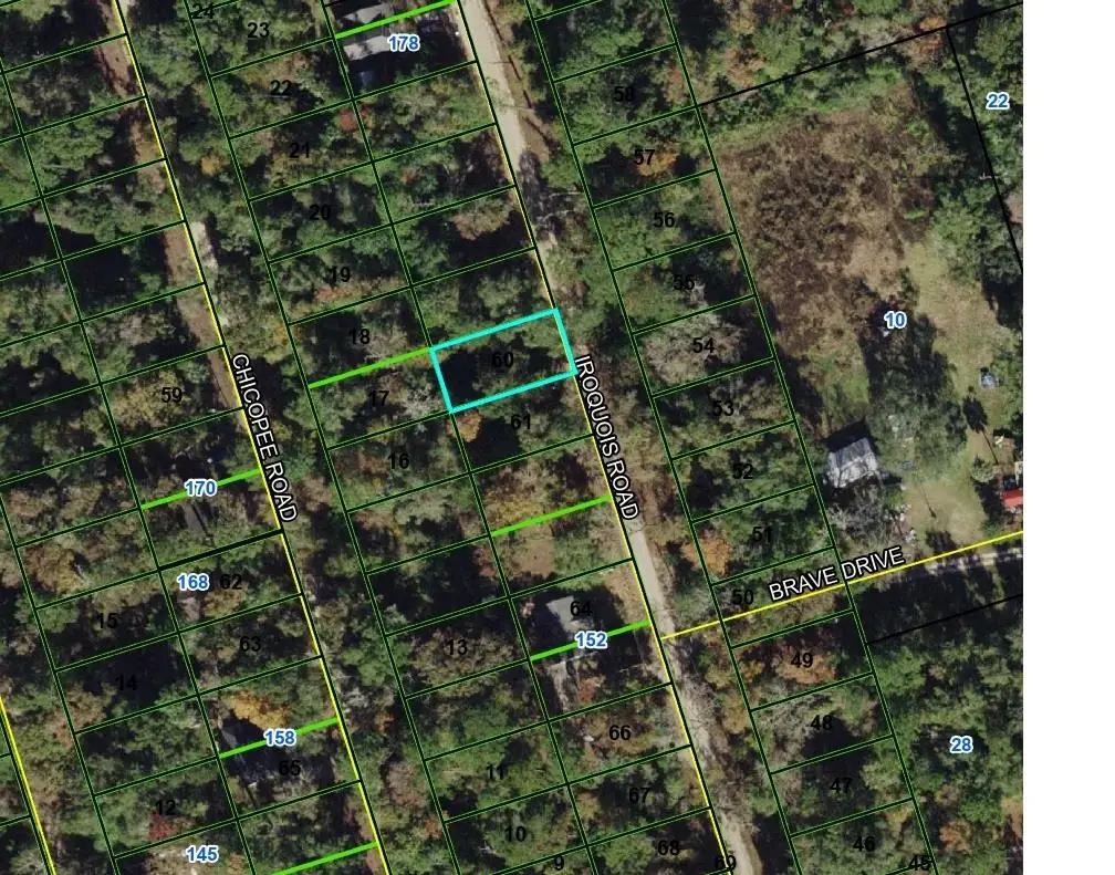XXX Iroquois Road, Crawfordville, FL 32327 - #1