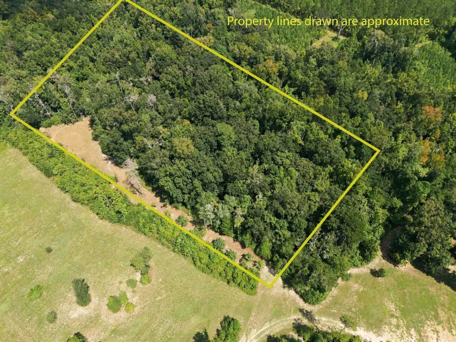 Lot 16 Johnny Rd, Monticello, FL 32336 - #3