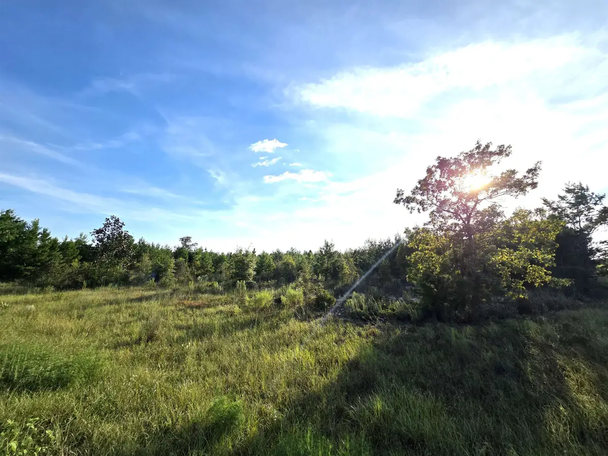 XXX NE Telogia Creek West, Bristol, FL 32321 - #1
