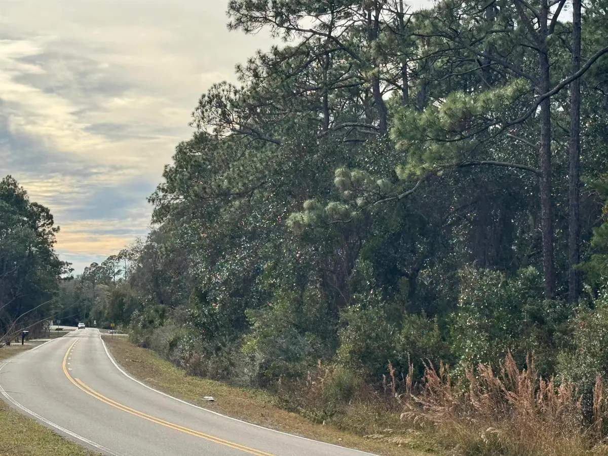 XX Ryan Drive, Carrabelle, FL 32322 - #1