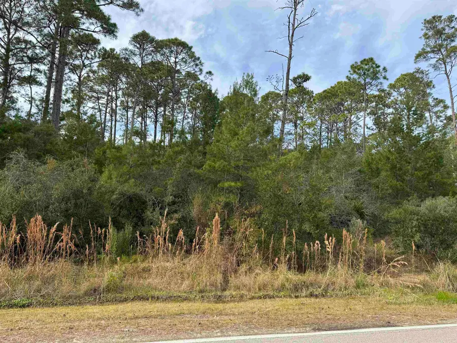 XX Ryan Drive, Carrabelle, FL 32322 - #2