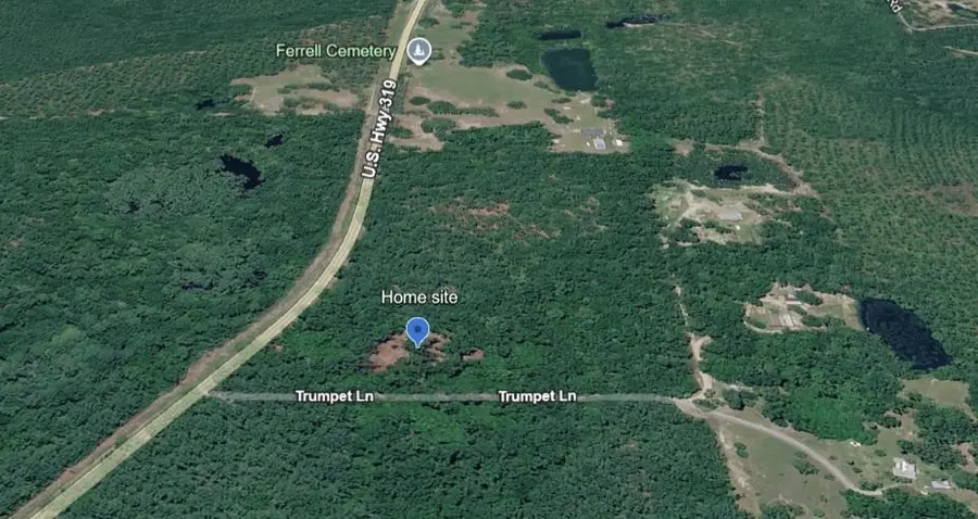 xx Crawfordville Highway, Crawfordville, FL 32327 - #2