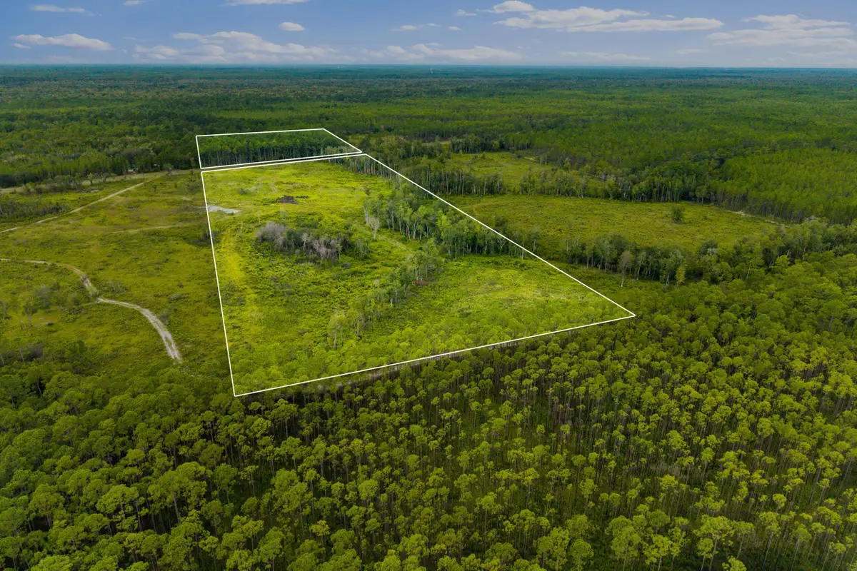 XX Smith Creek Road, Sopchoppy, FL 32358 - #1