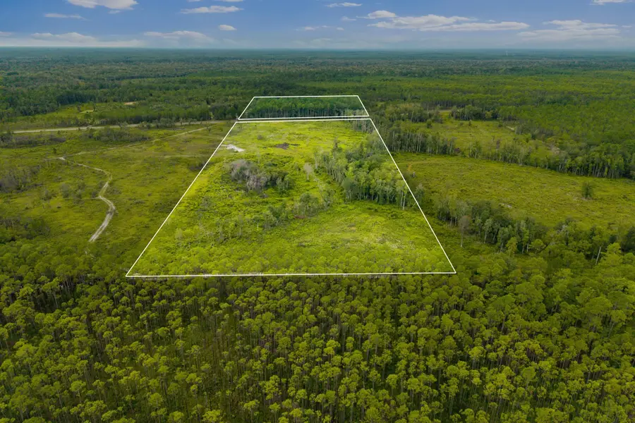 XX Smith Creek Road, Sopchoppy, FL 32358 - #3