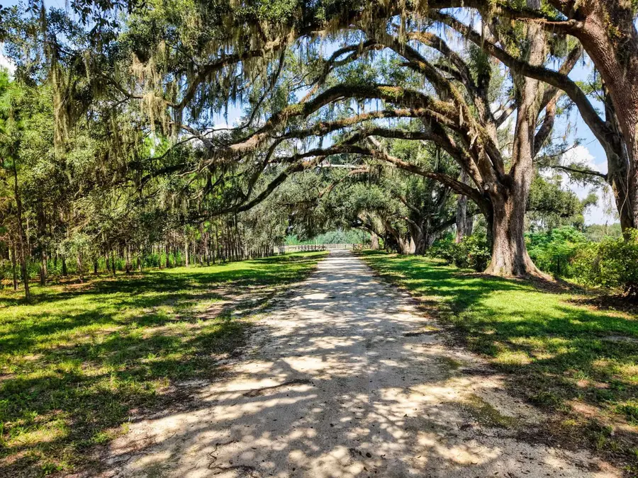 1392 NE Rocky Springs Church Road, Madison, FL 32340 - #2
