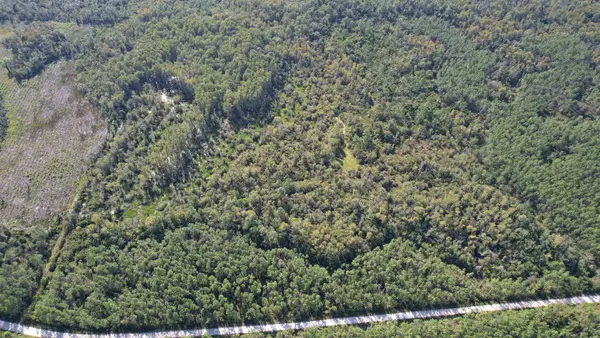 0 Airport Grade Road, Perry, FL 32348