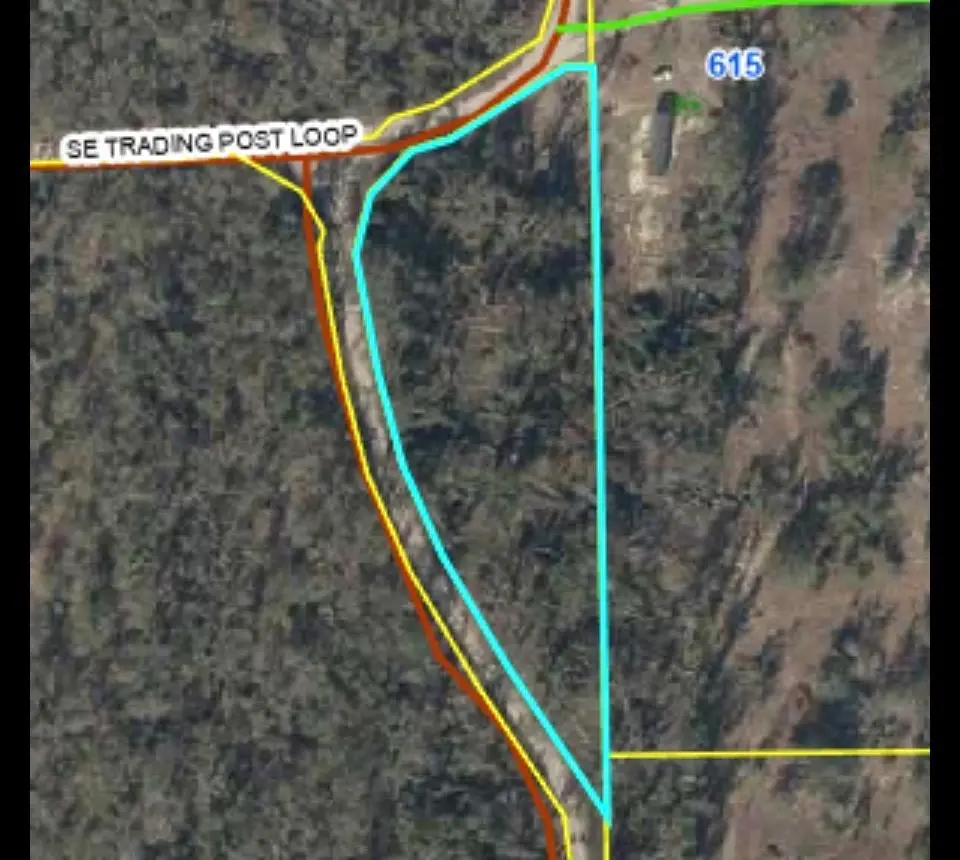 Se Springhead Creek Loop, Lee, FL 32059 - #1