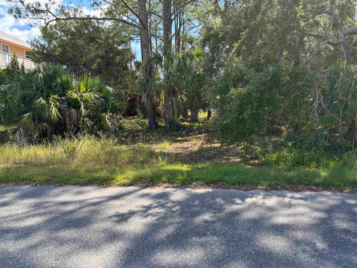 33 Blue Heron Way, Panacea, FL 32346 - #1