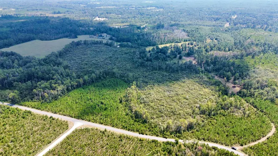 Lot 3 SW Wonderwood Street, Greenville, FL 32331 - #3