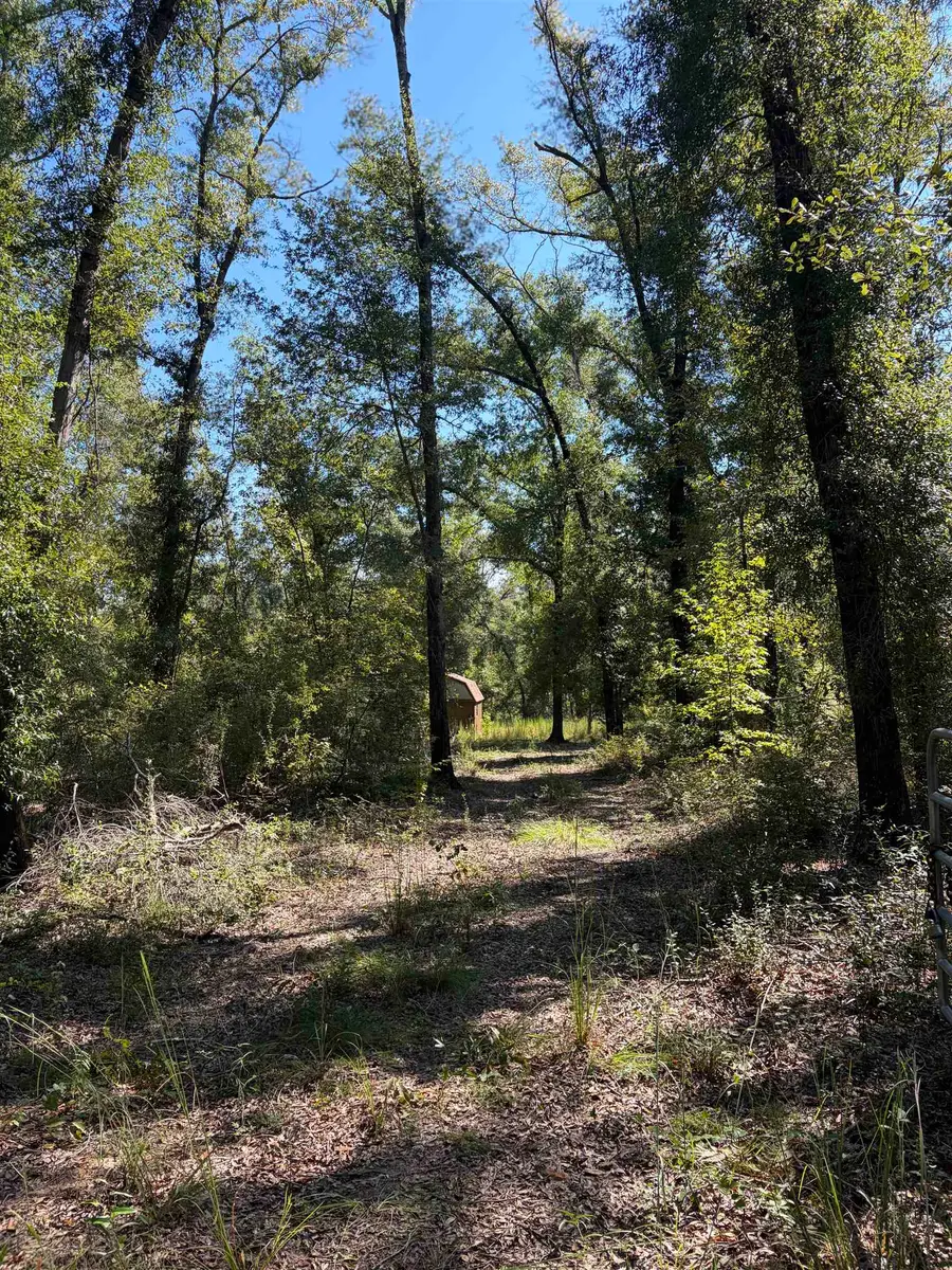 NE Chervil Drive, Lee, FL 32059 - #3