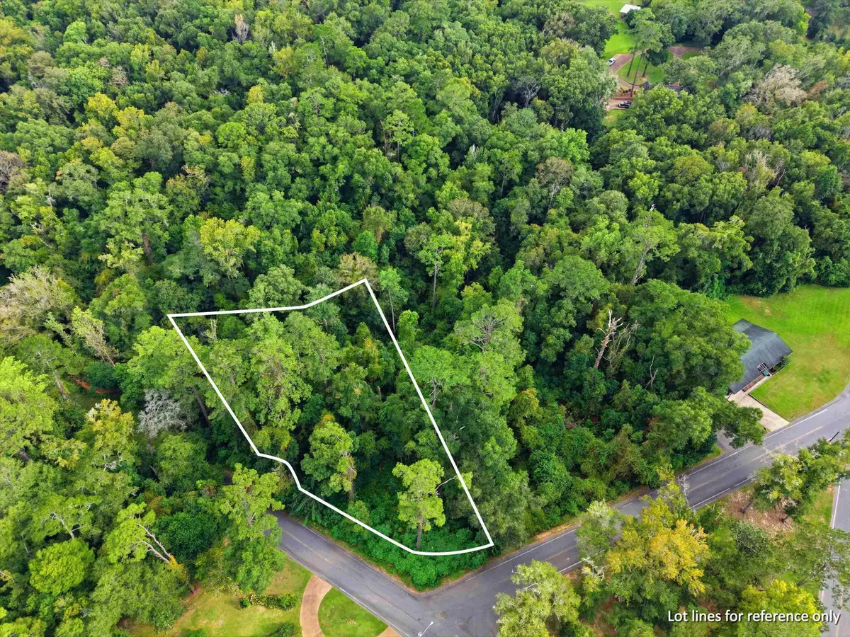217 Elise Drive, Quincy, FL 32351 - #1