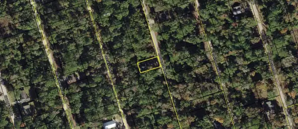 Lot 59 Rochelsie Road, Crawfordville, FL 32327